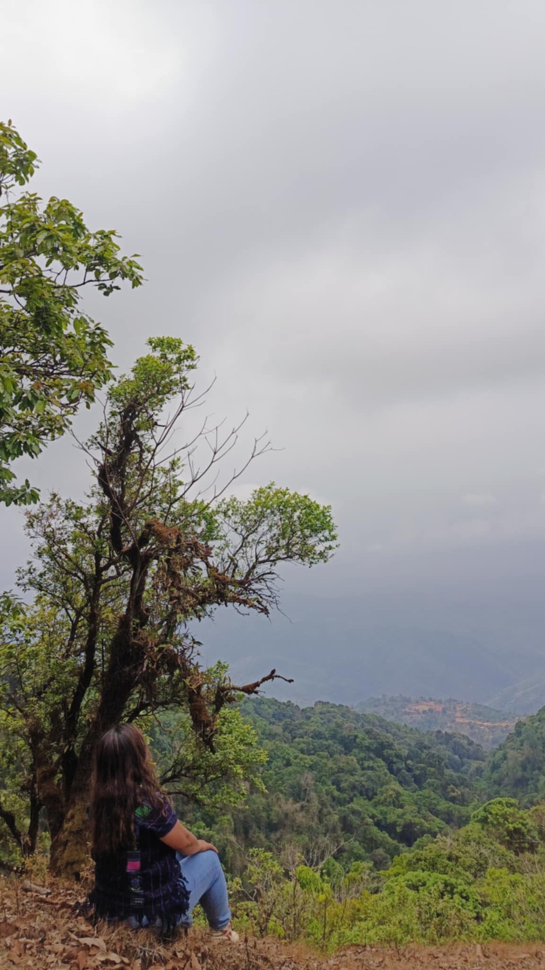 att.2rlhcp-hgzkko3qm-oloxxlios5dstoxaiwkr8kv8ju-1