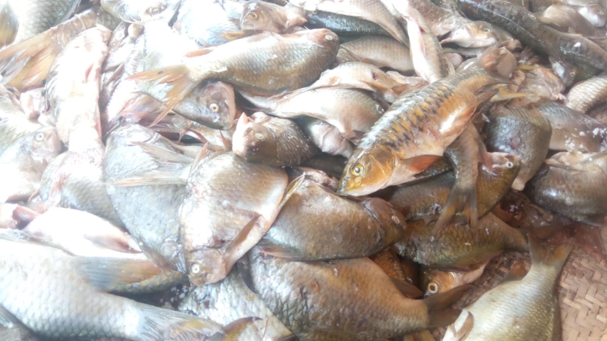 att.byvlr6km6plbic47kva1ygdf-ngcav6cbeyl0bj5es8-1