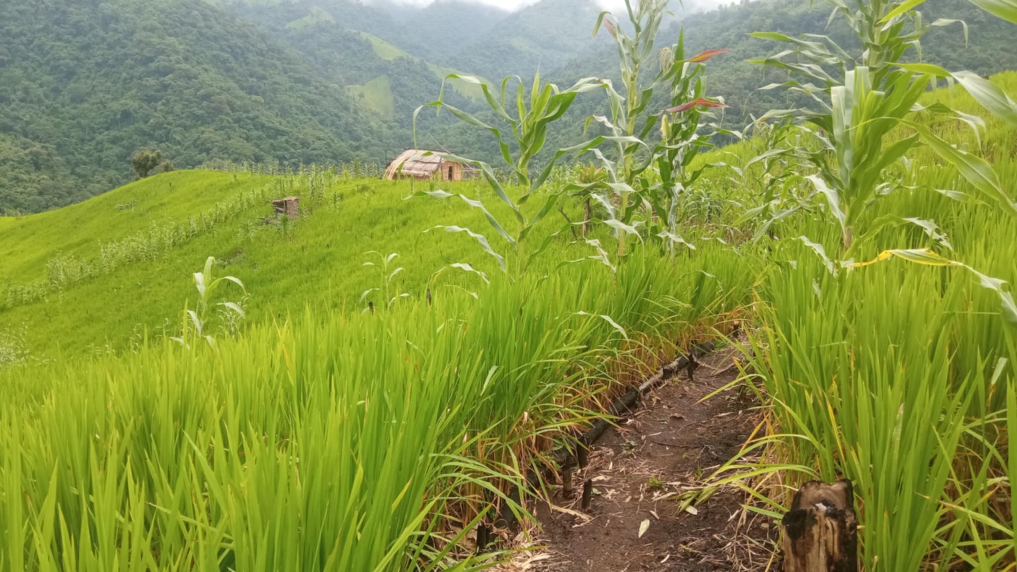 att.j-qpaq9x6flfiv25i8bydr5lndcd79iydbyz1cpygnw-1