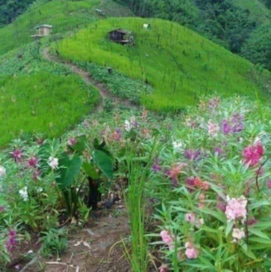 att.l_bpdnbxr1edqkrtmnydqxet1vrjtpnl0a6froutwau-1